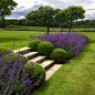 Pinterest : Discover recipes, home ideas, style inspiration and other ideas to try.