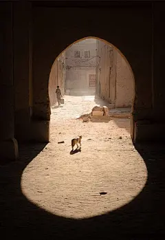 所有的告别，最后都会变成对自己的告别。

告别自己的顽念，告别自己的狭隘，告别自己的不甘心和放不下。

从而深知，这世上的一切林林总总算下来，

对自己至关重要的也不过寥寥几许。

所谓走时无人送别，归时无人接风，都是再平常不过的事情。

然后在些许的遗憾和失落中学会了释怀，懂得了自爱以及如何去爱。

—— 扶 南