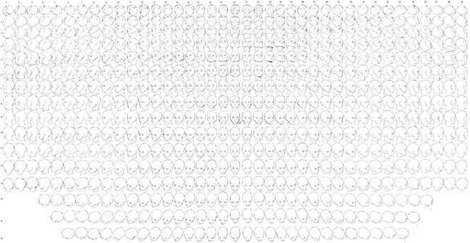 #绘画参考# 360°头部透视参考 ​​...