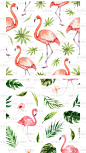 水彩插画手绘火烈鸟热带植物四方连续底纹jpg图片格式设计素材-淘宝网