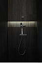 Niche in wall of shower--horizontal niche.  Need not be lighted.  LED-strip illuminated bathroom niche