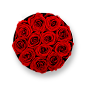 roseonly玫瑰花杭州城西银泰城_柔情-嫣红_上海哪里卖永生花_roseonly诺誓官网
