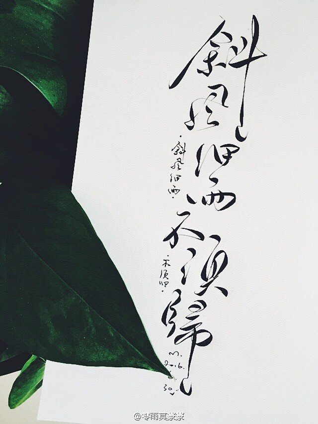 #手写菊花体# 【小菊花课堂——斜风细雨...