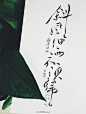 #手写菊花体# 【小菊花课堂——斜风细雨不须归。】纪念今天的凉爽～360 度全死角凑九宫格拍摄