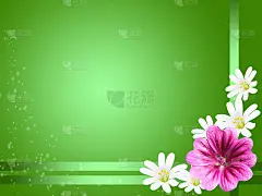装饰卡片上有一些花
