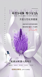 私密仪器海报私密抗衰