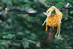 DIY纱线装饰圣诞树
