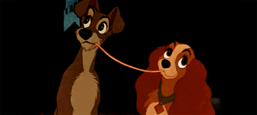Lady and the tramp.