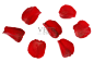 红玫瑰花瓣照片素材