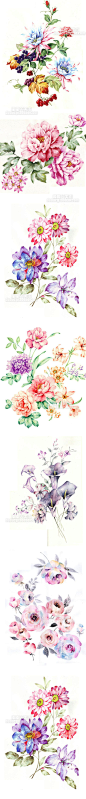 247 绘画设计 彩色手绘 花卉花朵植物水粉水彩作品 临摹参考素材-淘宝网