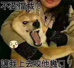 今年狗年了，大家有什么好玩的狗的表情包呀？一起分享～？ - 知乎