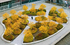 Yuisa采集到景观-植物池、花园