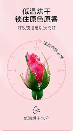 【同仁堂玫瑰花 80克/瓶】北京同仁堂 玫瑰花80g 玫瑰花干 冲泡饮用养生茶 精选花蕾造型饱满 芳香浓郁口味纯正【行情 报价 价格 评测】-京东
