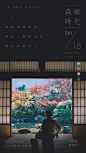 210816-森林中