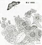 宋代花鸟经典白描画稿，极品收藏！