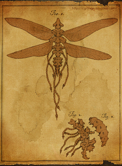 illushb1474采集到涂鸦作品