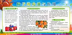 柿子  - 源文件下载【酷图网】柿子,柿子海报,柿子灯箱,柿子上市,包装,柿子种植基地,柿子基地,柿子广告设计,柿子促销,柿子售卖,超市柿子,柿子广告,柿子醋,柿子茶,美味柿子,陕西柿子,牛心柿,甜脆柿,老鸦柿,鸡心柿,柿子展板,柿子展架,香甜柿子,柿子来啦,柿子价格,柿子易拉宝,柿子海报设计,柿子折页