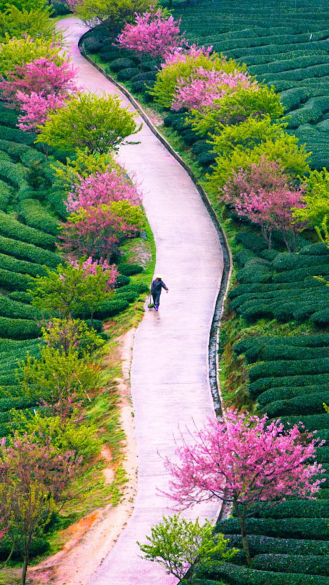 宠辱不惊，闲看庭前花开花落。去留无意，漫...