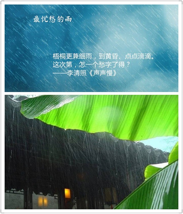 【  动人的九场雨 …  】