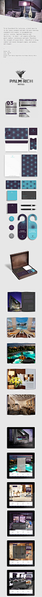 言毕咔:Palm Rich 棕榈丰富的酒店VI 品牌、名片画册、创意方向,网页设计 - Hello设计网