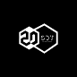 SDT娱乐20周年logo（飞机稿）