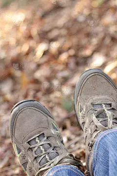 登山靴,森林,夜贼,一对,垂直画幅,留白,四肢,休闲活动,腿,健康