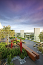 Penthouse garden…designed and built by Ecoform of Victoria. patrick redmond photography: