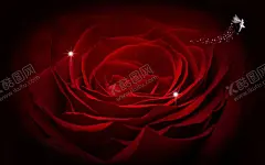 KTV背景墙 【酷图网】KTV背景墙,KTV,KTV海报,KTV展板,酒吧背景墙,酒吧海报,歌厅背景墙,歌厅海报,歌厅展板,麦霸,玫瑰花,深色玫瑰花