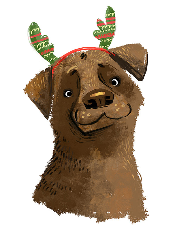 Dogs : Christmas dog...