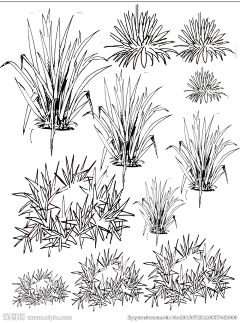 攒钱回水星采集到植物手绘素材