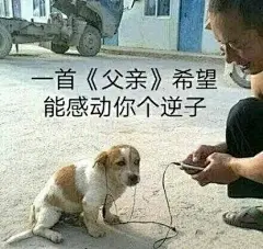 表情包
中午把你们私信的原图
都发给你们啦
收到了吗
今日表情包
无印良品
拿图点个赞...展开全文c