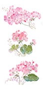 粉不拉叽(๑•̀ㅂ•́)و✧-桃年