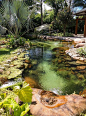 Beautiful backyard pond