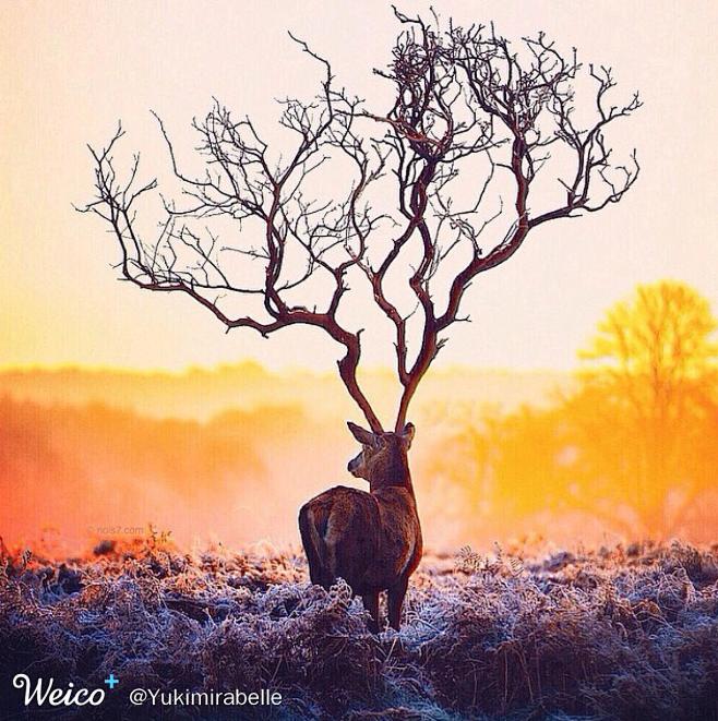 furnishing1422726406972