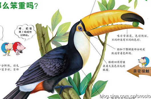 点击查看源网页
