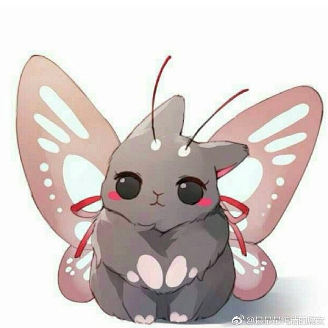 魔道祖师兔子