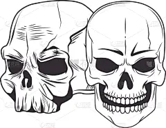 两只动物,颅骨,图标,暗色,概念,自然美,传统,绘制,复古