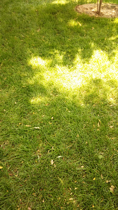 鲤小鱼N1采集到玉盒子