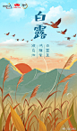 鲁花-白露-2018-插画-启动页-闪屏-海报-风景