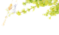 花朵素材 【加入会员下载高清大图+源文件】
