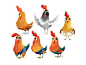 Chicken Scratch character development character design chicken chickens hens