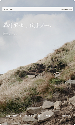 MYolOcrK采集到风景图背景