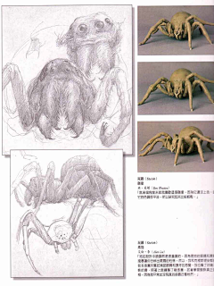 evo50采集到魔戒电影设定