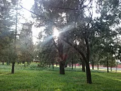我去过天坛