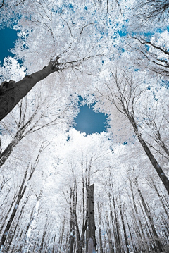 浅水微凉采集到天山雪后海风寒