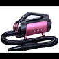 Lize Cat Dog Feline Canine Grooming Blow Pet Hair Dryer Pet Grooming Products - Buy Pet Grooming Products/pet Hair Dryer/pet Grooming Vacuum Product on Alibaba.com