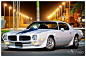 Photograph 1971 Pontiac Trans Am (Restored in 2010) .. IBN MANSI Auto (Jeddah, Saudi Arabia)