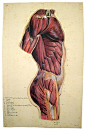 Pin page