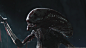 Alien : Covenant Chestburster, Gabriel Beauvais : It was a huge honour to be part of the chestburster team. The design was done by the guys on set . Thanks at my teammate with who we had lots of fun working on this, Adam G. on the texture, Bruno L. in loo