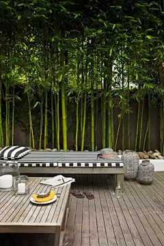 寓于鱼采集到新中式